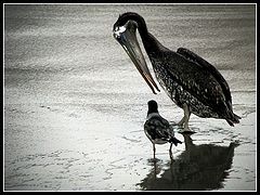 photo "friends?? why not"