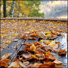 photo "***"