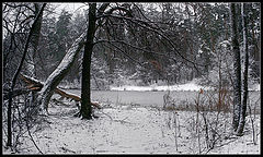 photo "Winter is preparing scenery"