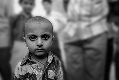 photo "***"