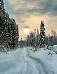 фото "по дороге зимней, скучной...."