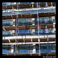 фото "Леса"