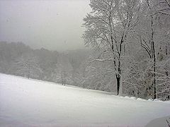 photo "Winter"