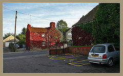 photo "Blossoming small houses."