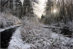 photo "Winter and the residual fall"