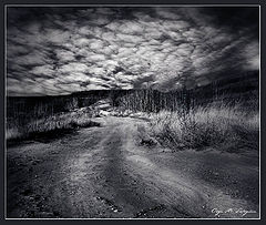 photo "***"