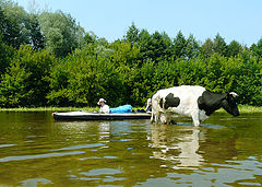 photo "Very deep river!"