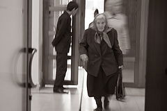 фото "..."