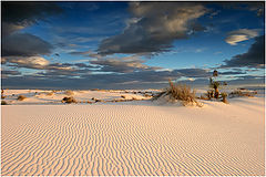 фото "White Sands at sunset"