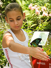 photo "Sister"