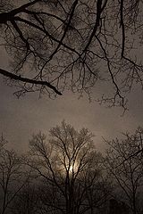 photo "***"