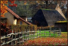 photo "old roofs"