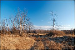 photo "December..."