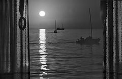 фото "DUSK"