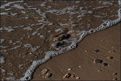 photo "Seashore"