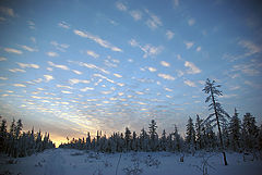 фото "Декабрьские зори"