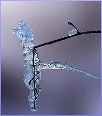 photo "***"