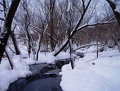 фото "Наши истоки"