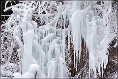 photo "The first frost"
