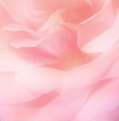 photo "Sophia"