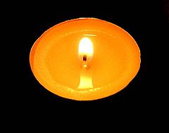 фото "Light."
