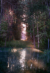 photo "***"