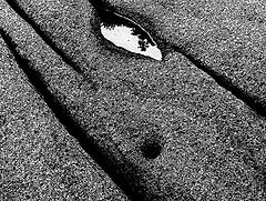 photo "***"