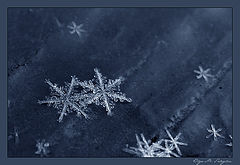 photo "***"