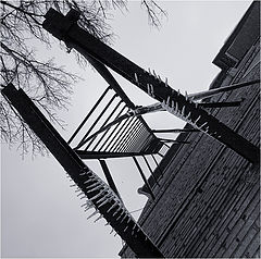 фото "Лестница"