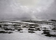 photo "winter"