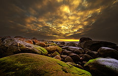 фото "Eveninglight on the beach"