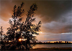 photo "***"