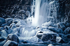 photo "Winter day."
