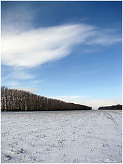 photo "***"