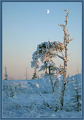 фото "Лунный день"