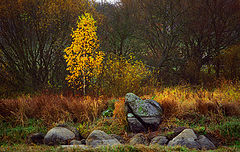 photo "***"