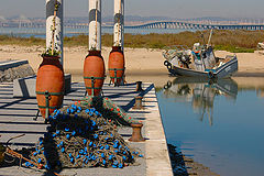 фото "SAMOUCO"