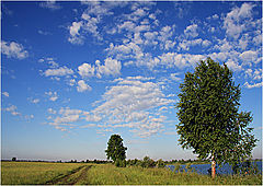 photo "***"