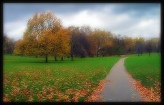 photo "path"