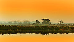 фото "DUSK"