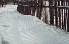 photo "***"