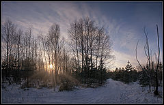 photo "Morning Panorama"