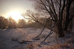 фото "Утро."