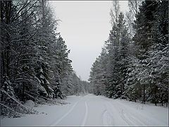 фото "Большое Белое Безмолвие"