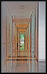 фото "Perspective"