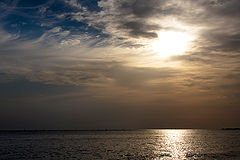 photo "***"