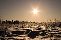 photo "***"