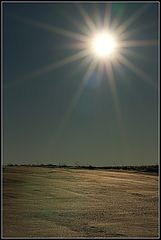 photo "***"