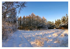 photo "***"