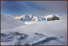 фото "Snow"